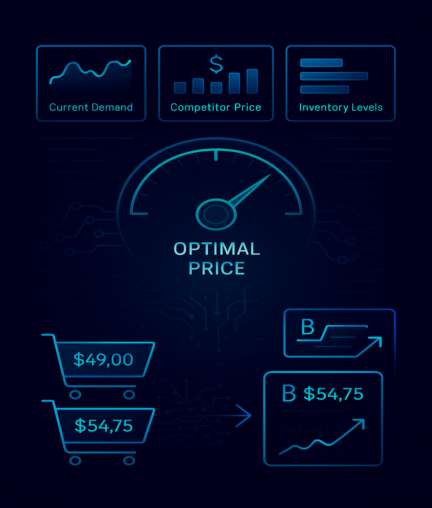Dynamic Pricing Models visual